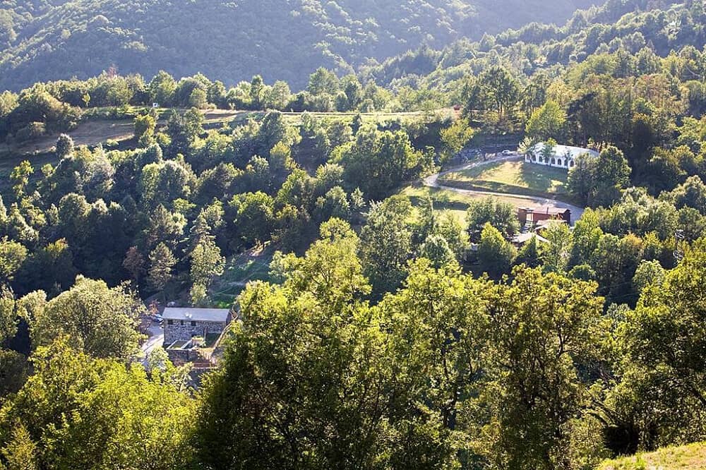 8 Day She Rises: Inner Child to Wild Women Healing Retreat, Italy