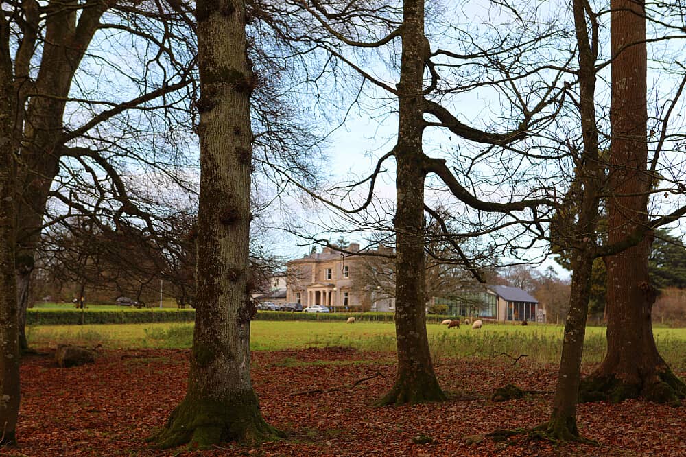 5 Day Women's Celtic Rest and Restore Retreat in Ireland