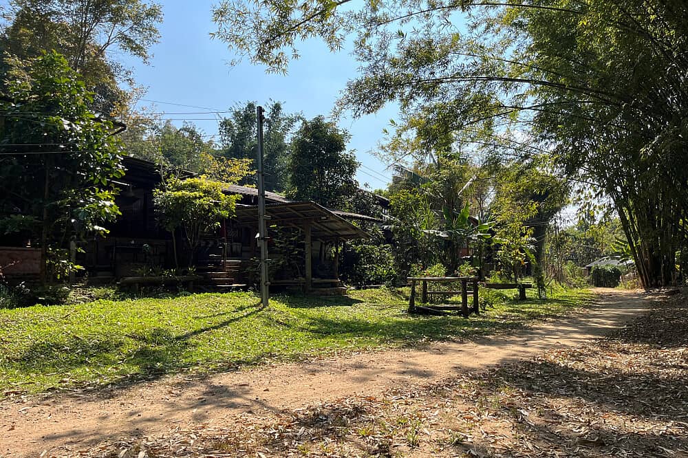 4 Day Private 1:1 Mushroom Therapy In Pai, Thailand