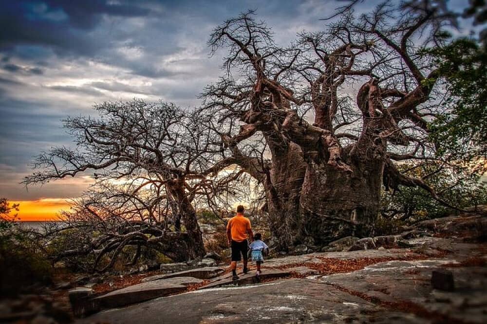 7 Day Return to Your True Self in African Bush, South Africa