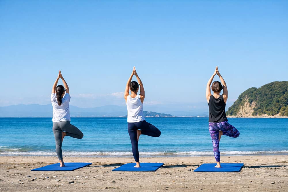 2 Day Zen Yoga & Meditation with Tea Ceremony near Tokyo, Japan