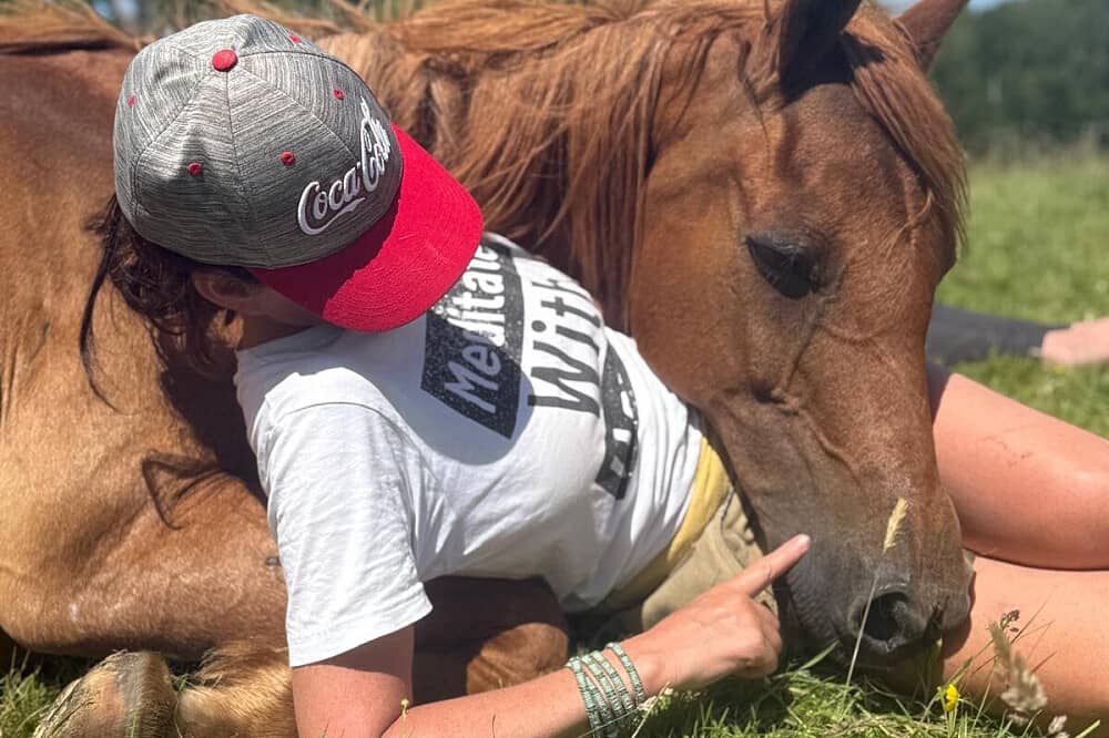 8 Day Silent Healing With Horses Retreat in Cumbria