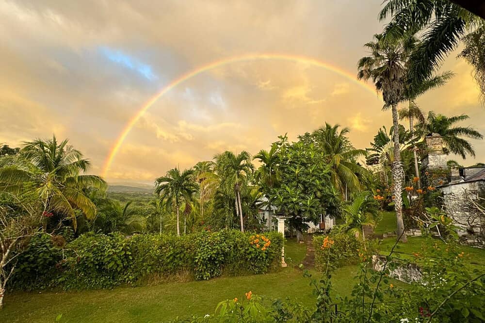 6 Day Beckley Signature Psilocybin Retreat In Jamaica