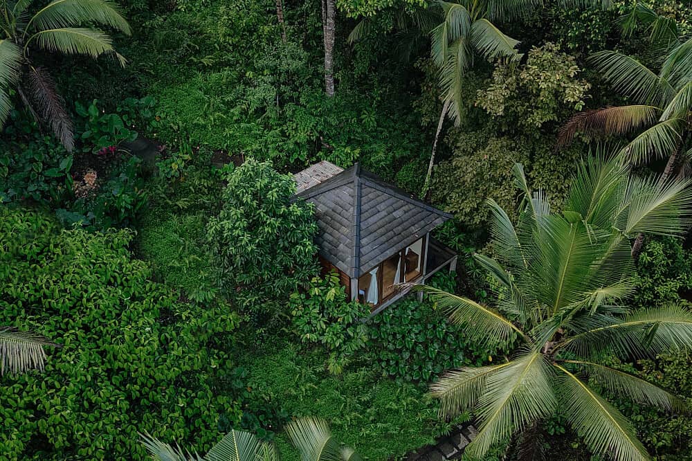 14 Day Nature & Culture:Private Recovery Retreat in Bali Jungle