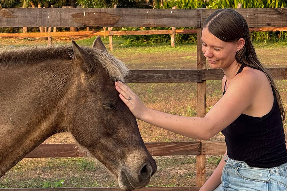 5 Day Somatic Horse Healing Retreat in Sao Luis, Portugal