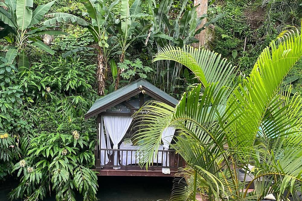 7 Day Midlife Reset: Unique 1:1 Solo Experience in Jamaica