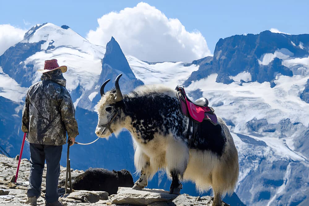 14 Day Spiritual Pilgrimage Retreat in Tibet