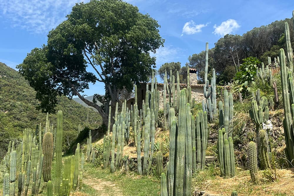 10 Day Medicine Walk in Silence: Mystical Rebirth Retreat, Spain