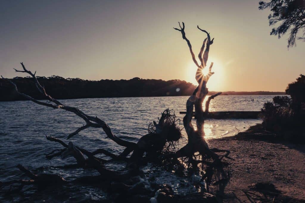 Mohanji Centre of Benevolence Australia