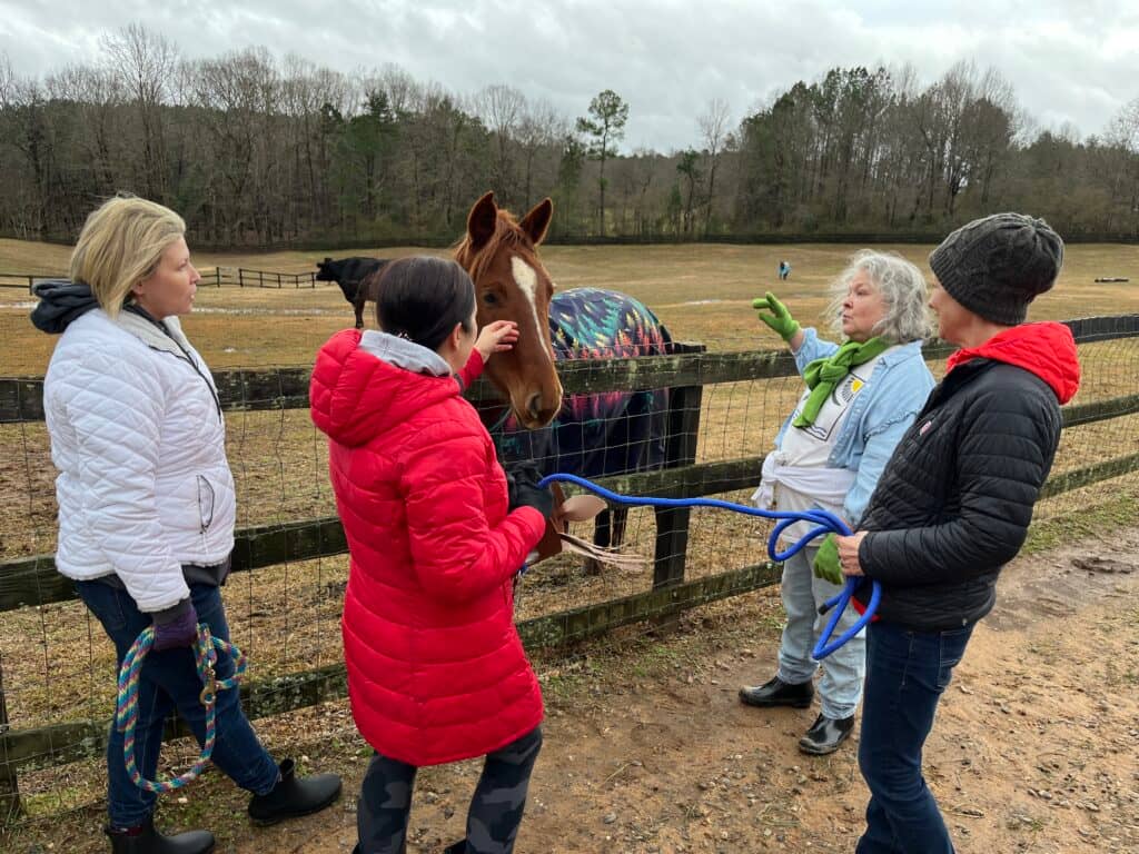 Imagine Equus Retreats