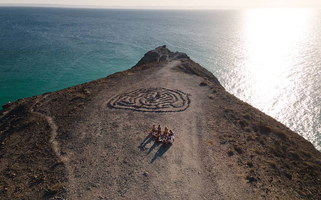 Experience Baja Life