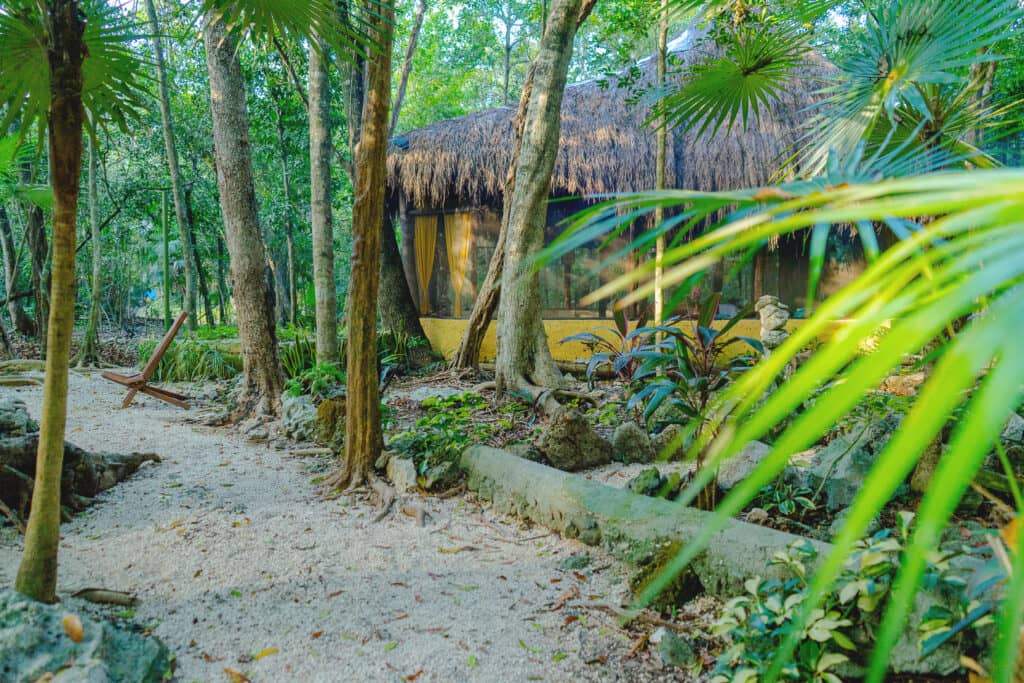 One Breath of Yoga Ashram