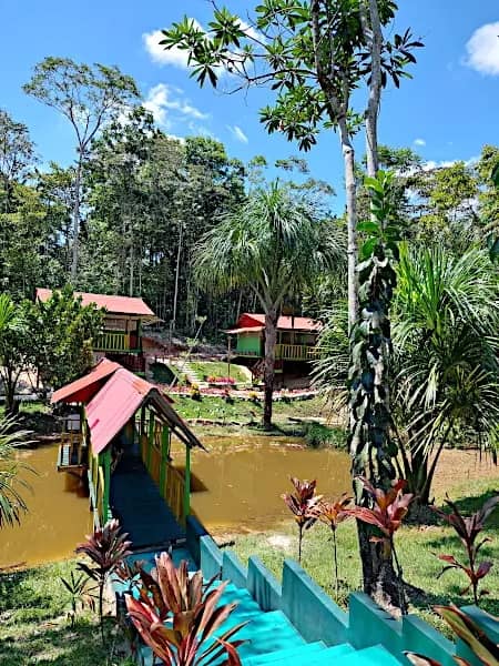 Hummingbird Healing Center