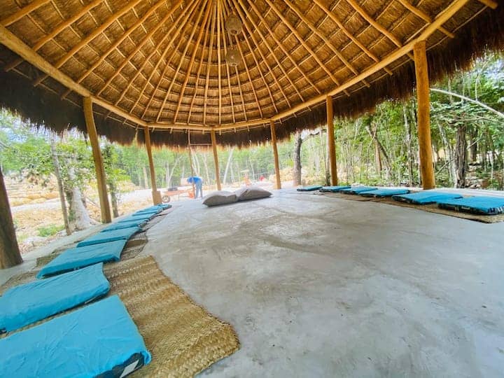 Ayahuasca Retreats Tulum