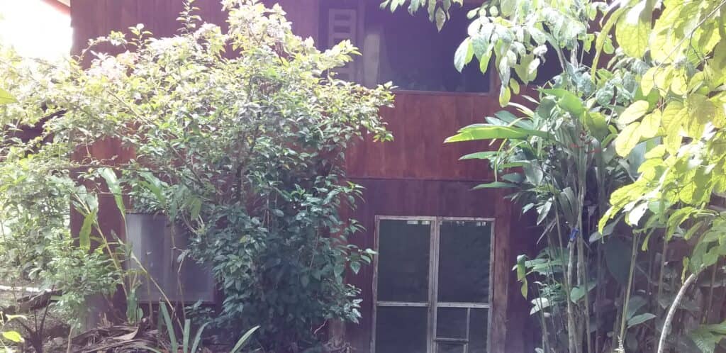 Avatar Ayahuasca Center