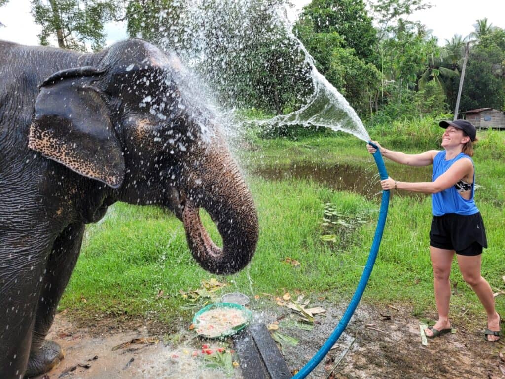 Visit Natural Detox Resort