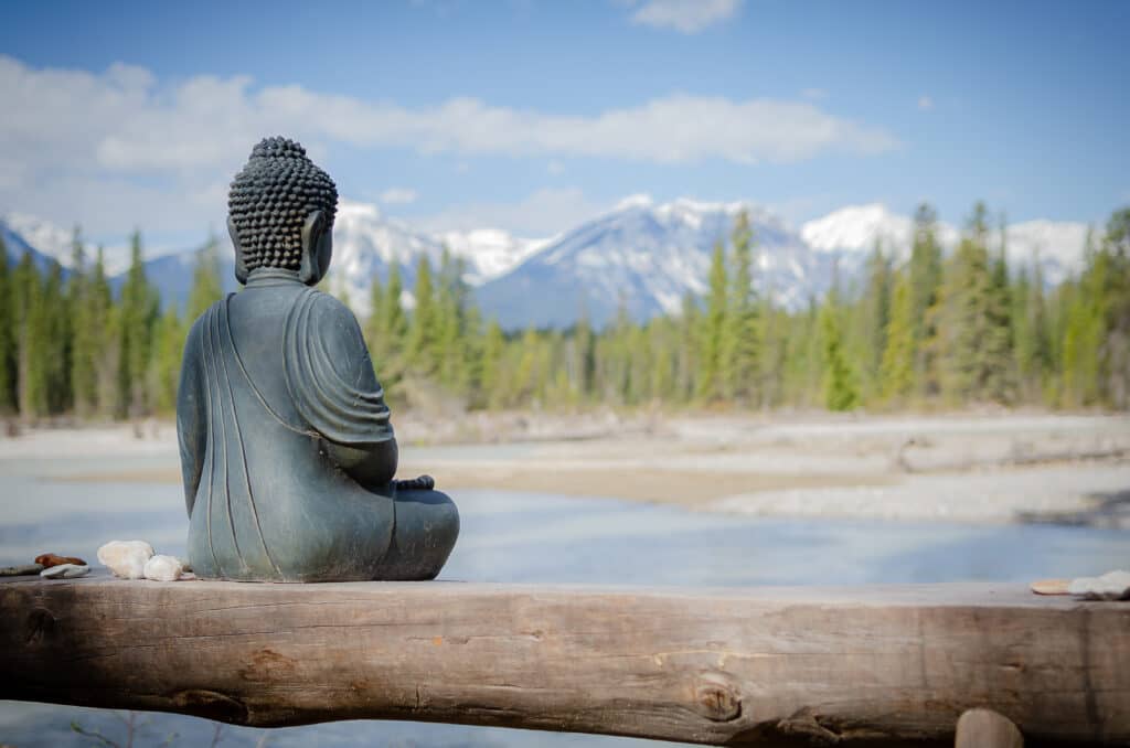 Quantum Leaps Retreats