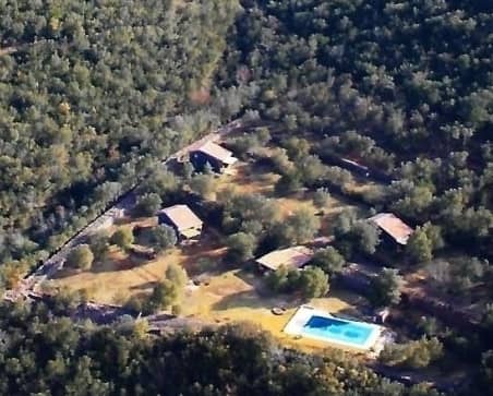 Limitless Humans Movement