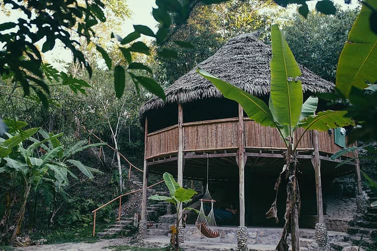 The Garden of Peace, Ayahuasca & Master Plant Center