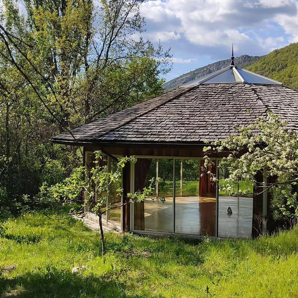 Consciousness Collective