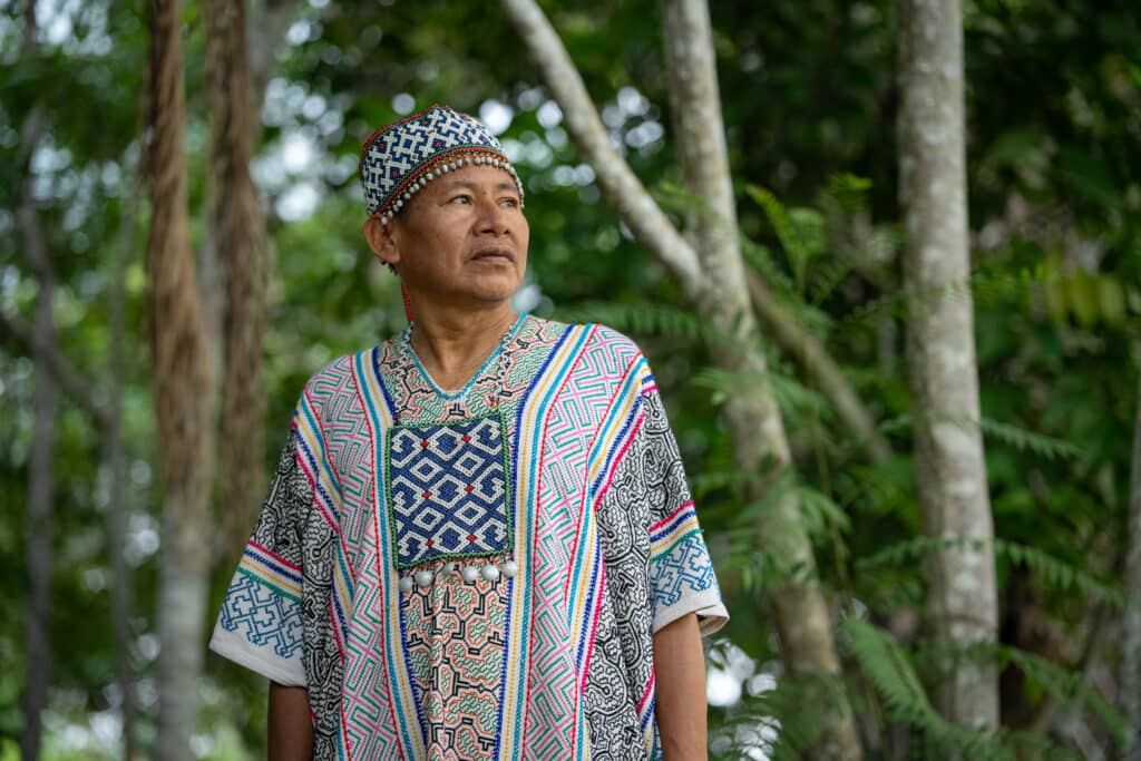 APL Shamanic Journeys