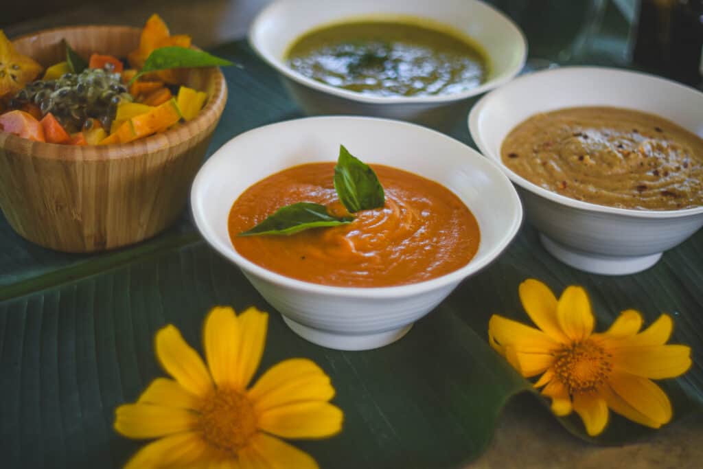 10 Day Parasite + Heavy Metals Detox In Costa Rica 7