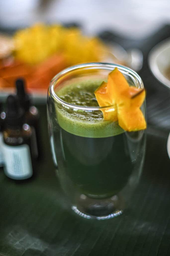 10 Day Parasite + Heavy Metals Detox In Costa Rica 6