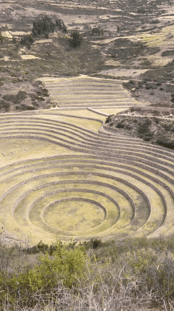 Andean Cultural Immersion 7