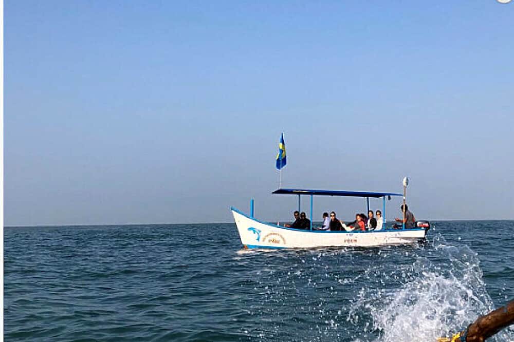 25 Day 200 Hour Hatha & Vinyasa Yoga TTC in Goa, India 8