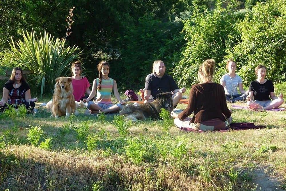 5 Day Reiki Level 1 Training Retreat in Melo, Portugal 5