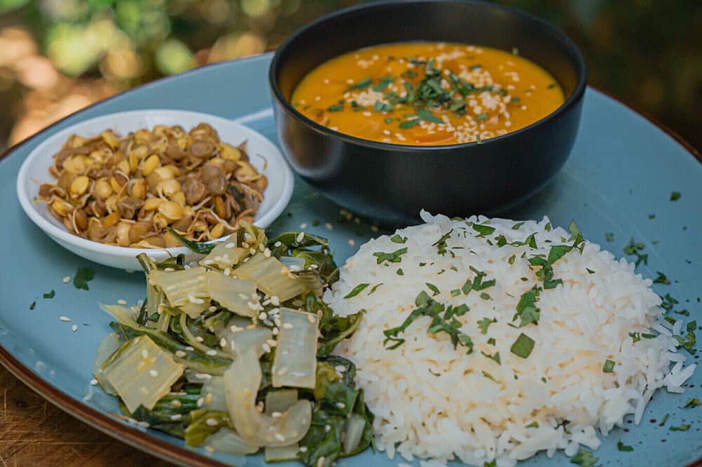 7 Day Ayurveda Cooking Immersion: Food Alchemy in Costa Rica 6