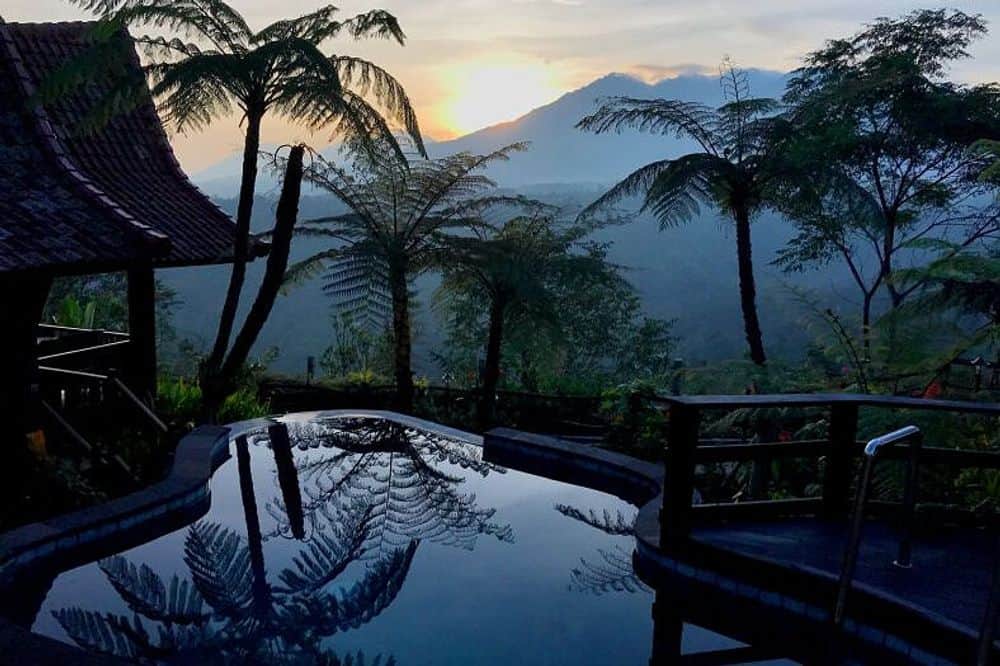 15 Day 200 Hour Samasthala Yoga Teacher Training, Bali, Indonesia 3