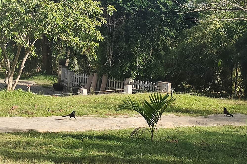 21 Day (Flexible) 1:1 Healing, Grief, Anxiety Retreat in India 8