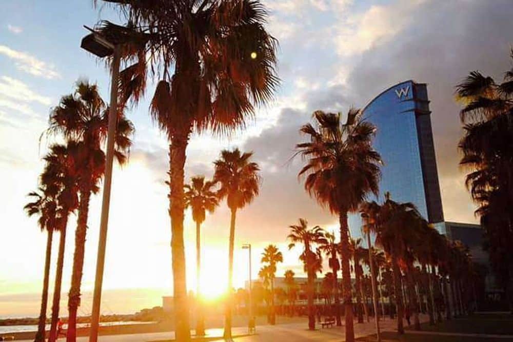 8 Day Urban Yoga Retreat in Barcelona, Spain 8