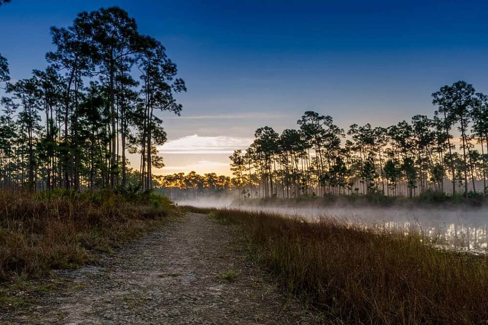 4 Day Authentic Living&Embodiment:Transformation Retreat,FL,US 3