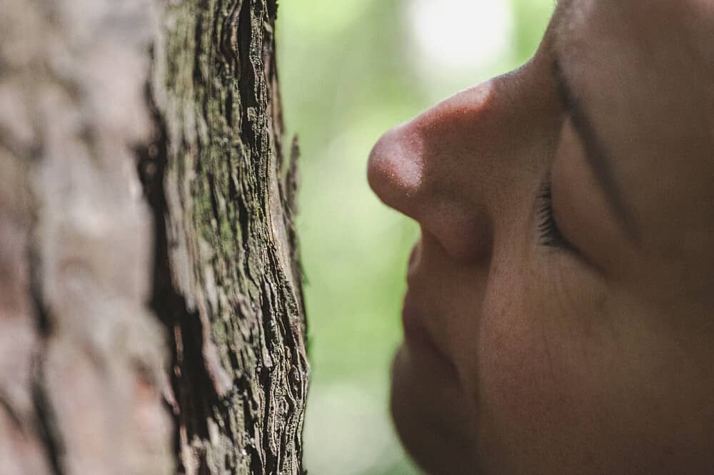 8 Day Women Retreat in South Tyrol, Italy