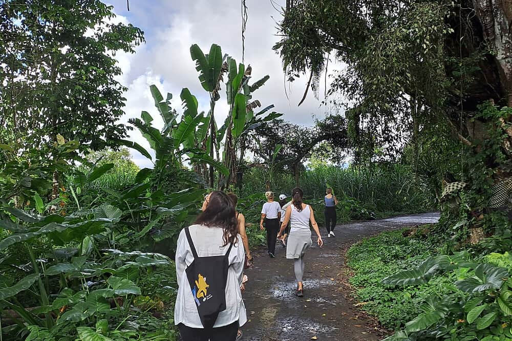 7 Day Silent Meditation & Yin Yoga Retreat in Bali 3