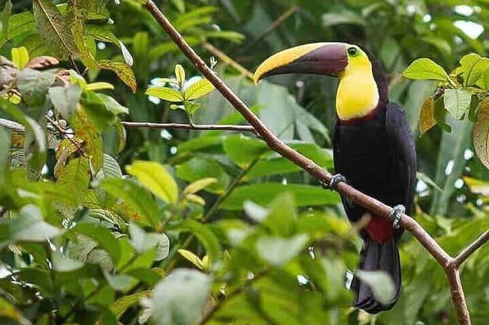 8 Day Self Love & Soul Alignment Emotional Healing in Costa Rica 5