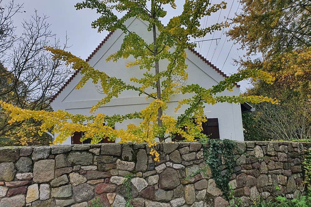 8 Day Fasting for Total Recharge in a Nature Reserve in Hungary 3