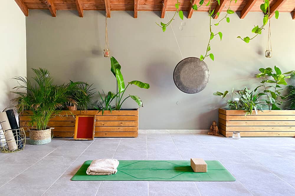 21 Day 200 Hour Vinyasa & Yin Yoga TTC in Corfu, Greece 6