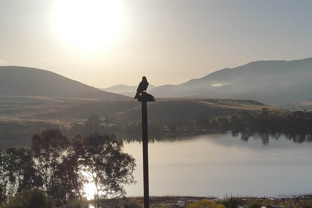 2 Day Sacred Plant Medicine Life Reset Retreat in CA, USA 3