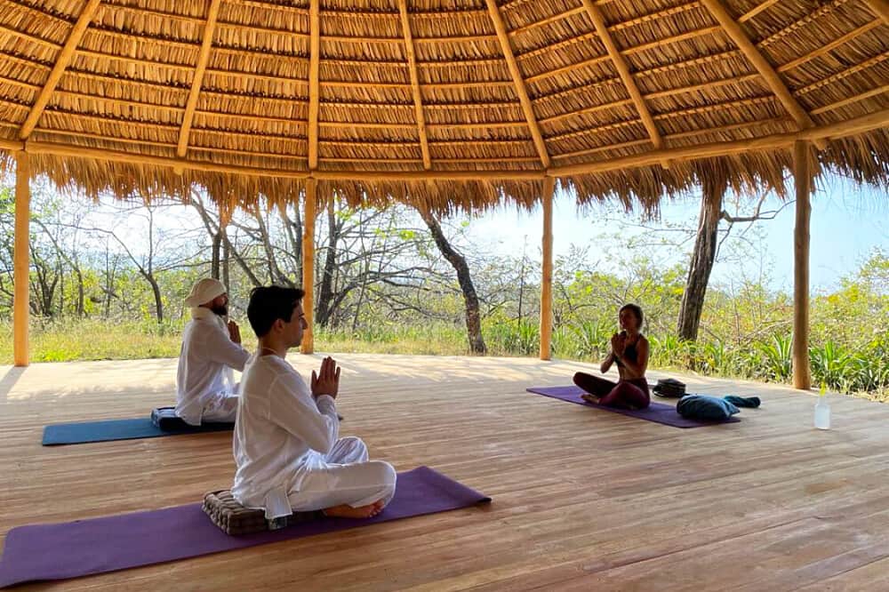 7 Day Nervous System Reset : Yoga Retreat in Costa Rica 1