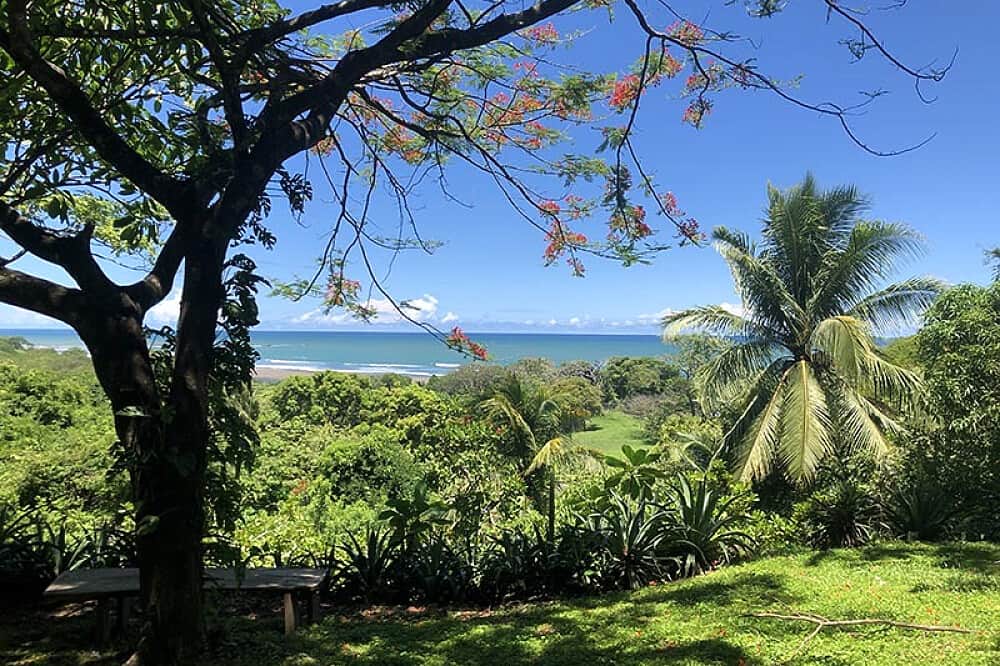 7 Day Nervous System Reset : Yoga Retreat in Costa Rica 3