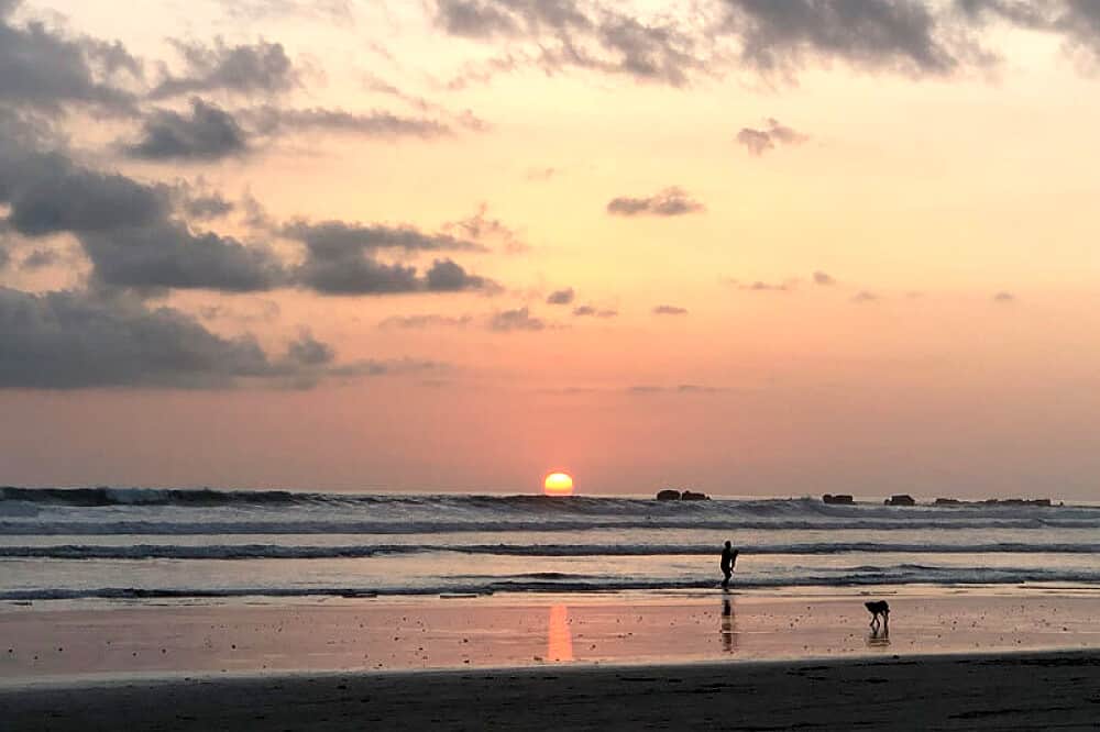 7 Day Nervous System Reset : Yoga Retreat in Costa Rica 4