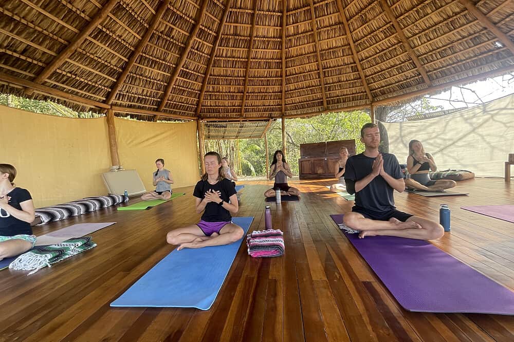 7 Day Nervous System Reset : Yoga Retreat in Costa Rica 6
