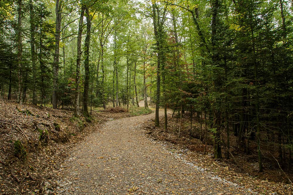 3 Day Wellbeing & Awareness Training Retreat in Tuscany 6