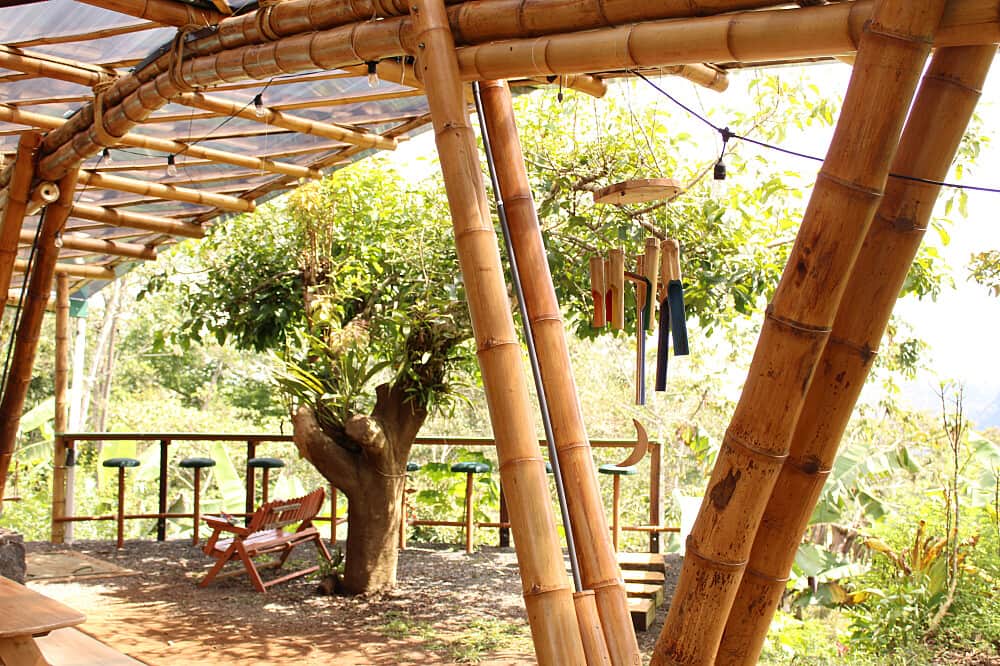 30 Day Connect With Earth: Permaculture Retreat in Costa Rica 4