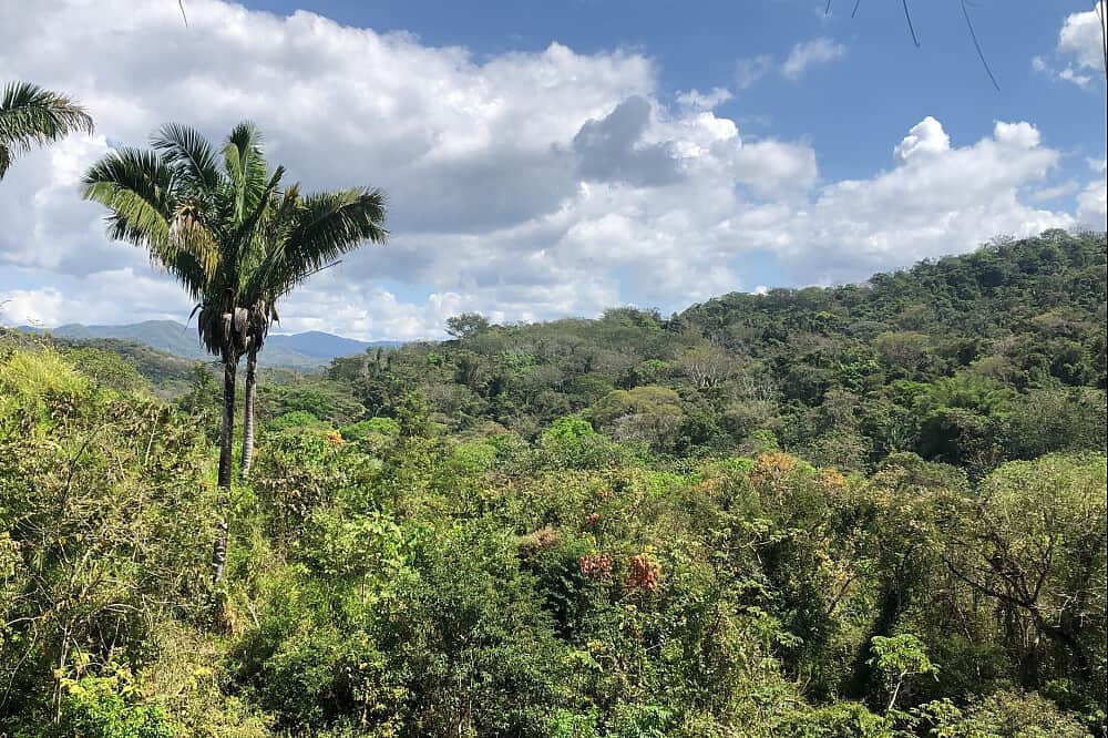 6 Day 'JOYful" private rejuvenation retreat in Costa Rica 6