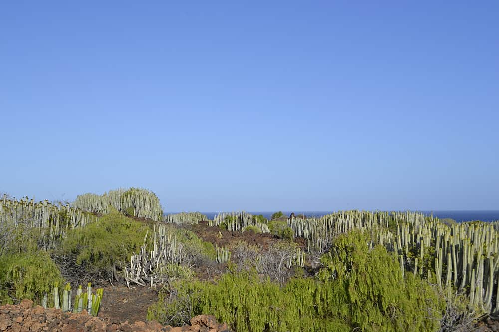 5 Day New Year - Tantric Path Retreat in Tenerife, Spain 7