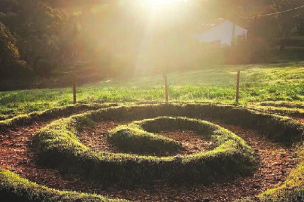 5 Day Shakti Healing Therapy in Portugal 4